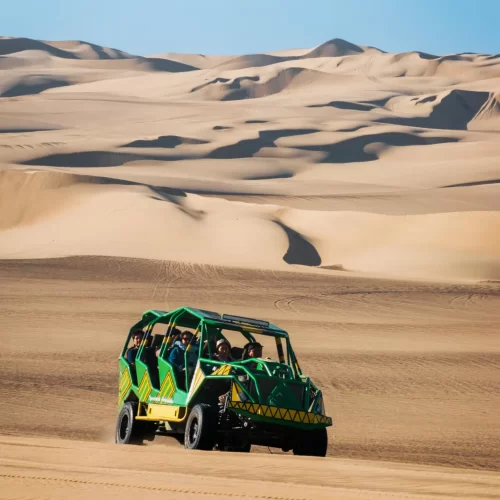 pexels-gilmerdiaz-14172330